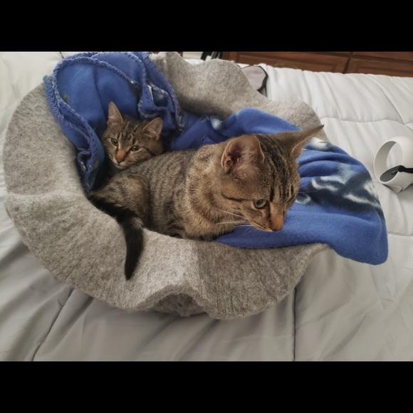 Alex & Ali - Picture 6 of 9